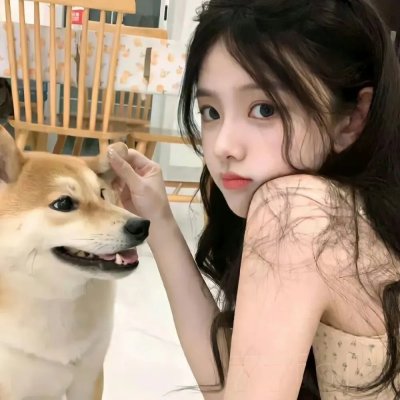 风飞鲨2